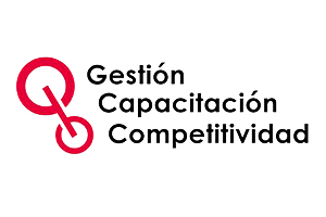 Gestion Capacitacion Competitividad