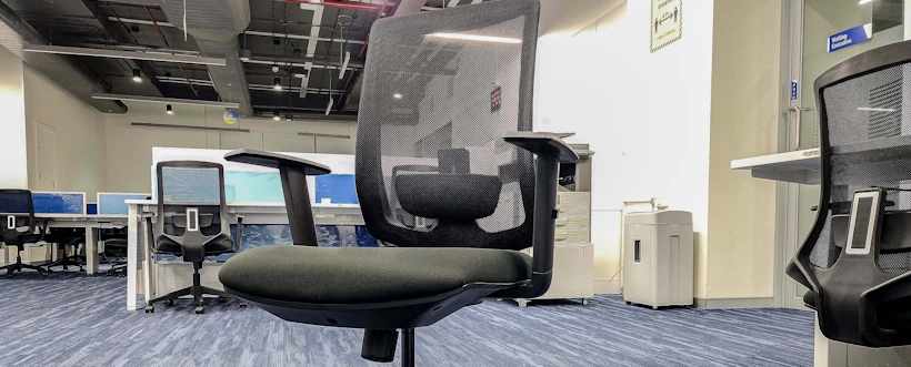 Significado De Ergonomía