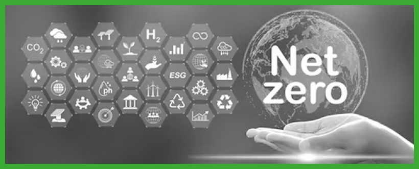 El camino a NetZero: Estrategias reales de descarbonización ante la exigencia regulatoria