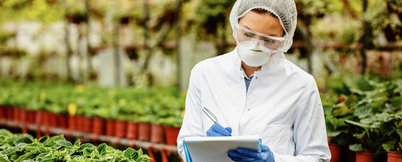 Metodología Lean En Sector Alimentario